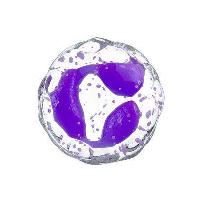 general cell image one