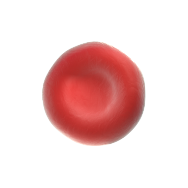 red blood cell image two